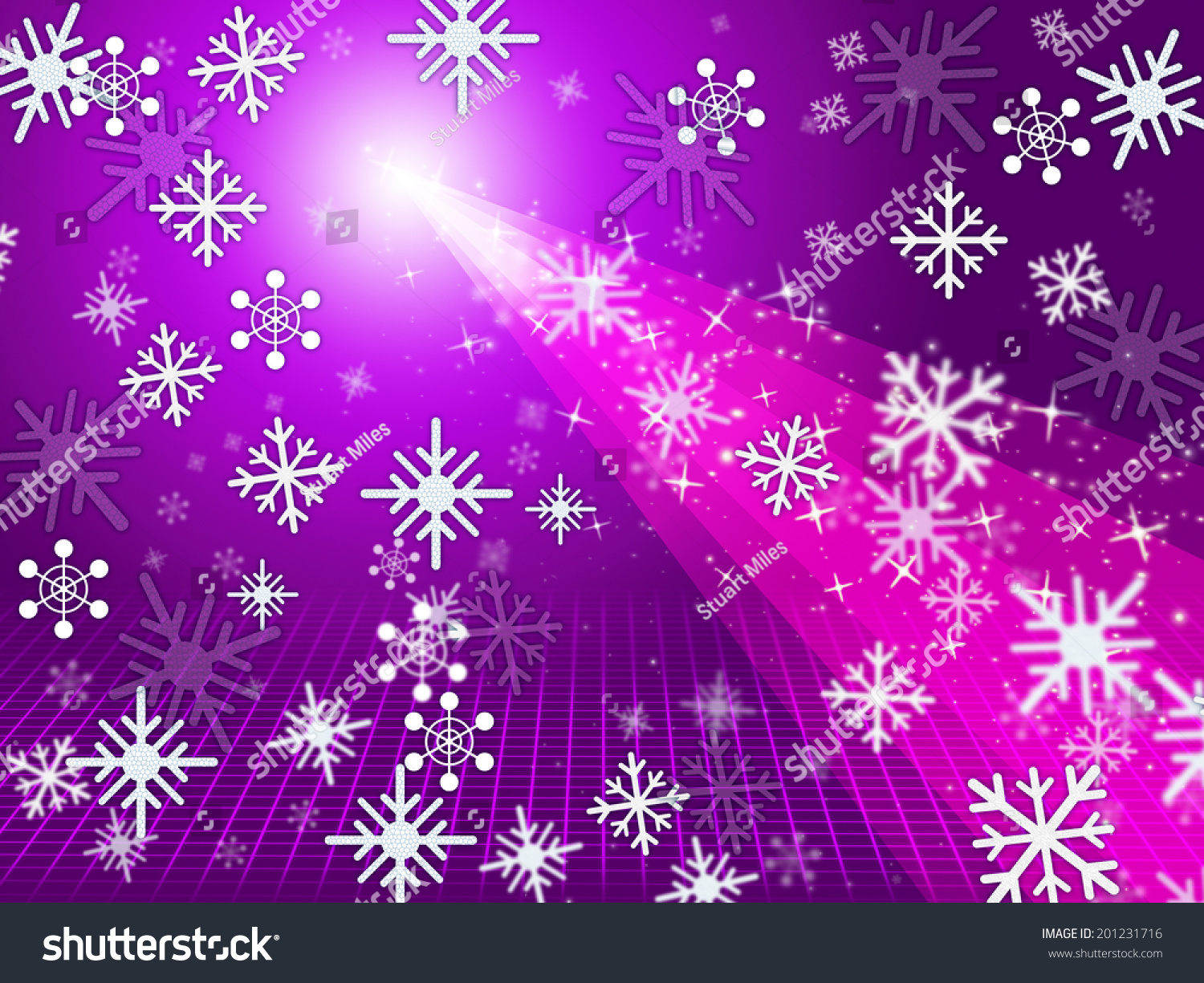 淡紫色粉红色表示圣诞快乐和光辉-符号/标志-海洛