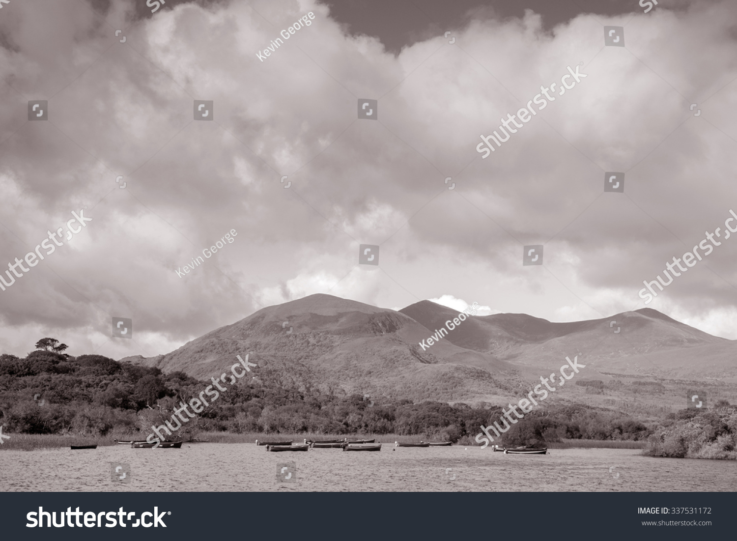 拉尼的国家公园,县克里;爱尔兰在黑白灰的基调