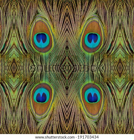 best compilation of four spots green peacock feathers in great