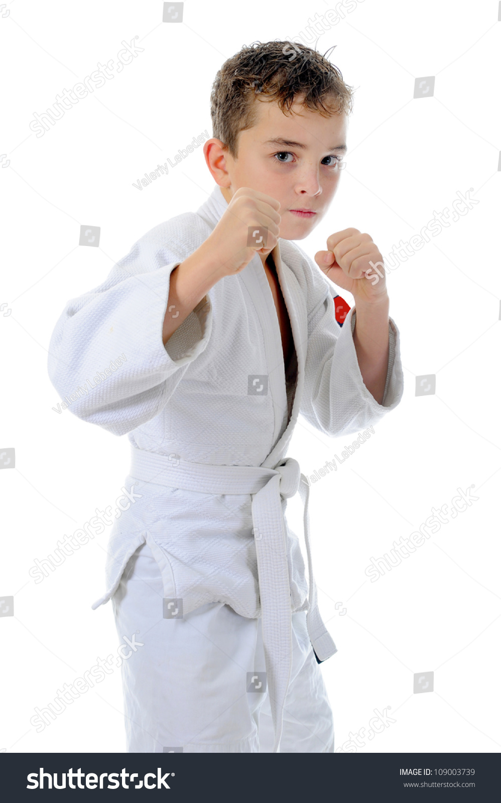 小男孩空手道训练.