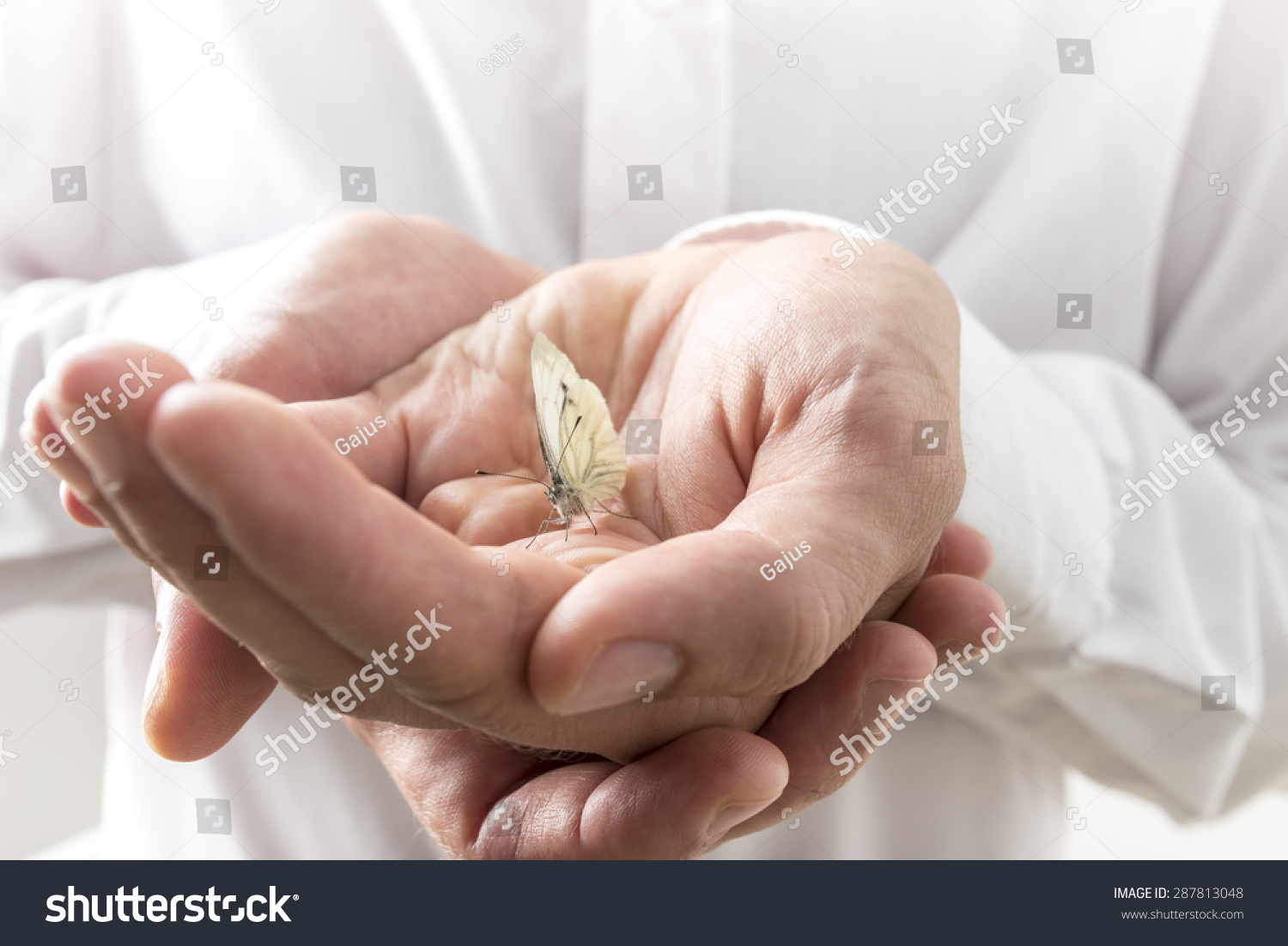 conceptual two bare hands of a businessman in white long sleeves