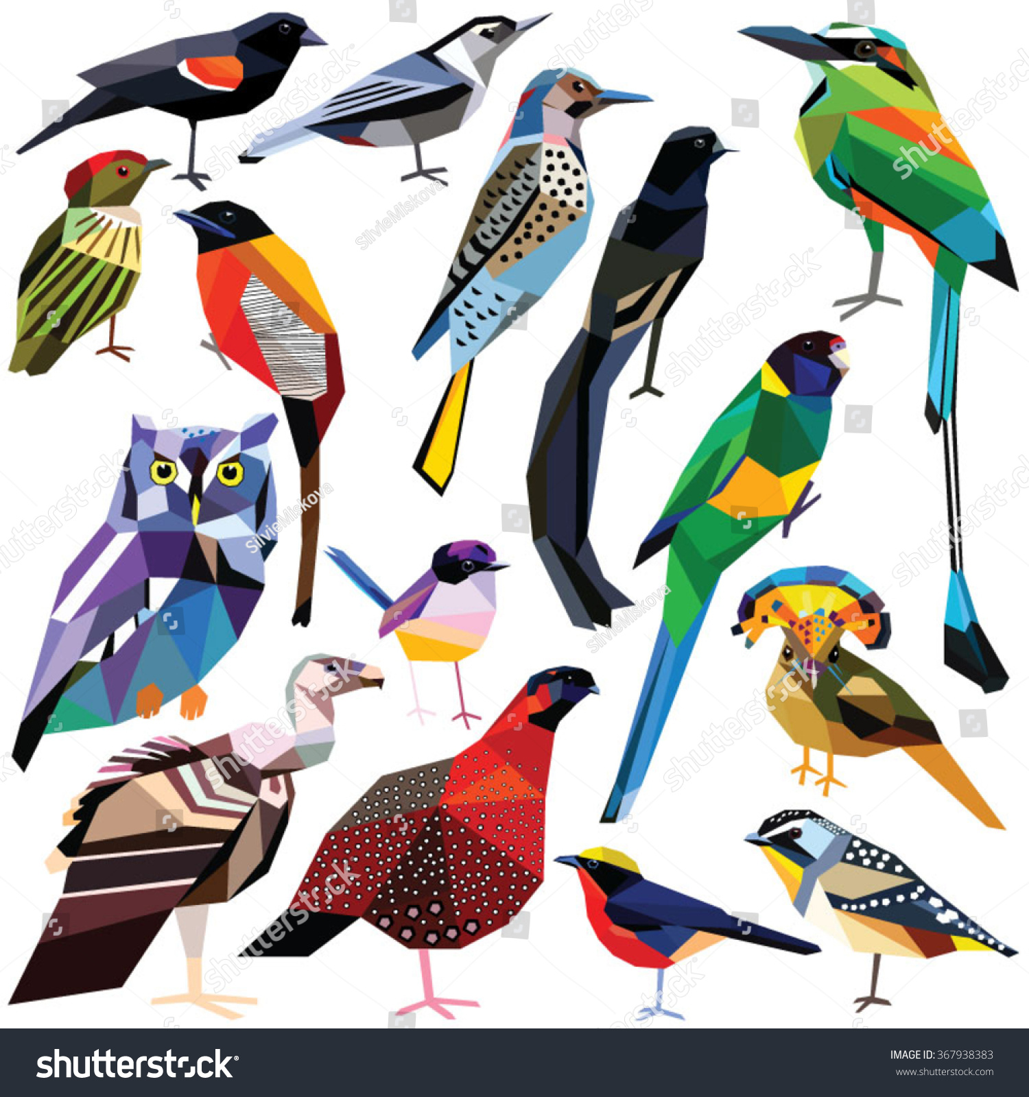 birds-set colorful birds low poly design isolated on white back